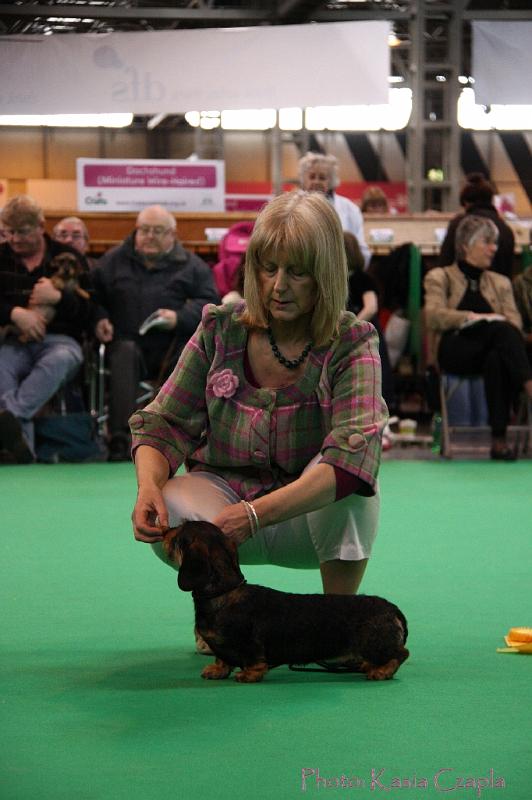 Crufts2011_2 1409.jpg